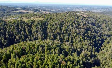 Campo en venta en Estación Río Frio de 40,6 Hectáreas, El Mañio