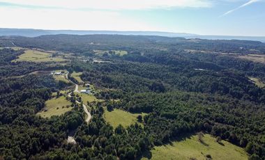 Campo en venta en Estación Río Frio de 40,6 Hectáreas, El Mañio