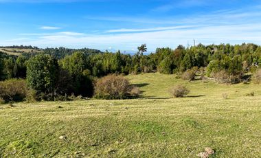 Campo en venta en Estación Río Frio de 40,6 Hectáreas, El Mañio