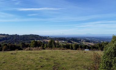 Campo en venta en Estación Río Frio de 40,6 Hectáreas, El Mañio