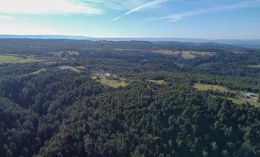 Campo en venta en Estación Río Frio de 40,6 Hectáreas, El Mañio