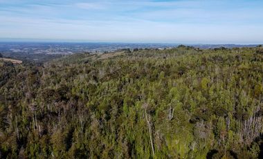 Campo en venta en Estación Río Frio de 40,6 Hectáreas, El Mañio