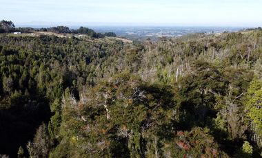 Campo en venta en Estación Río Frio de 40,6 Hectáreas, El Mañio