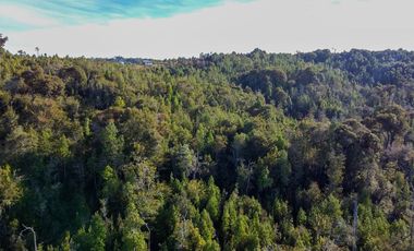 Campo en venta en Estación Río Frio de 40,6 Hectáreas, El Mañio