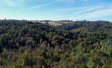 Campo en venta en Estación Río Frio de 40,6 Hectáreas, El Mañio