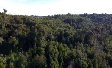 Campo en venta en Estación Río Frio de 40,6 Hectáreas, El Mañio