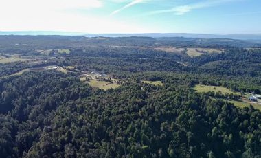 Campo en venta en Estación Río Frio de 40,6 Hectáreas, El Mañio