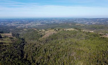 Campo en venta en Estación Río Frio de 40,6 Hectáreas, El Mañio