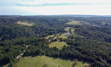 Campo en venta en Estación Río Frio de 40,6 Hectáreas, El Mañio