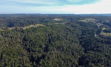 Campo en venta en Estación Río Frio de 40,6 Hectáreas, El Mañio