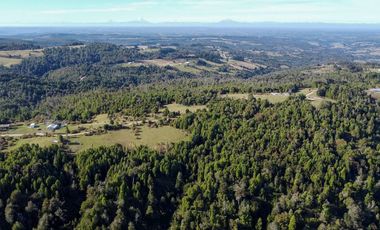 Campo en venta en Estación Río Frio de 40,6 Hectáreas, El Mañio