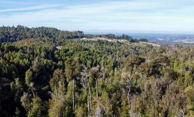 Campo en venta en Estación Río Frio de 40,6 Hectáreas, El Mañio