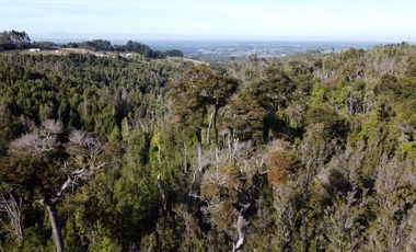 Campo en venta en Estación Río Frio de 40,6 Hectáreas, El Mañio