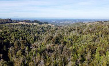 Campo en venta en Estación Río Frio de 40,6 Hectáreas, El Mañio