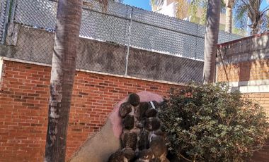 VENTA DE CASA EN RESIDENCIAL CUMBRES DE MORELIA