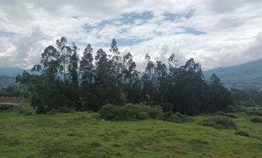 Venta de terreno