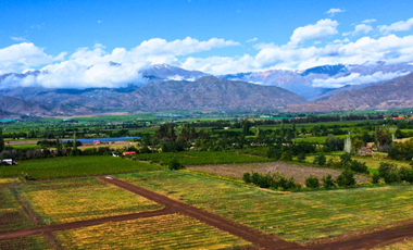 Pacerlas de 5000m2 a solo 15 minutos de San Felipe y Los Andes