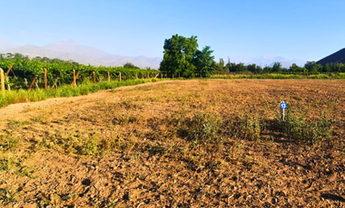 Pacerlas de 5000m2 a solo 15 minutos de San Felipe y Los Andes