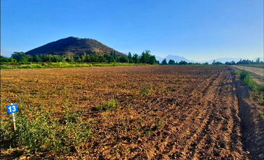 Pacerlas de 5000m2 a solo 15 minutos de San Felipe y Los Andes