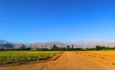 Pacerlas de 5000m2 a solo 15 minutos de San Felipe y Los Andes