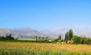 Pacerlas de 5000m2 a solo 15 minutos de San Felipe y Los Andes