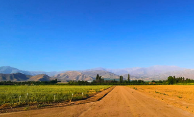 Pacerlas de 5000m2 a solo 15 minutos de San Felipe y Los Andes