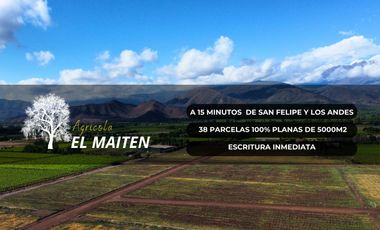 Pacerlas de 5000m2 a solo 15 minutos de San Felipe y Los Andes