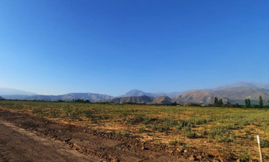 Pacerlas de 5000m2 a solo 15 minutos de San Felipe y Los Andes