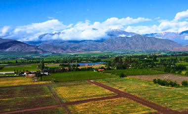 Pacerlas de 5000m2 a solo 15 minutos de San Felipe y Los Andes