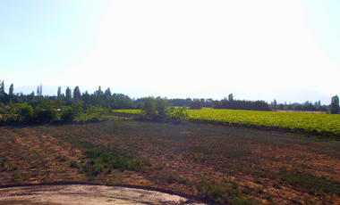 Pacerlas de 5000m2 a solo 15 minutos de San Felipe y Los Andes