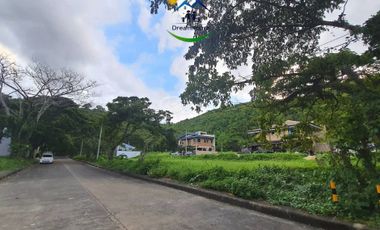 Affordable Residential Lot for Sale in Consolacion, Cebu