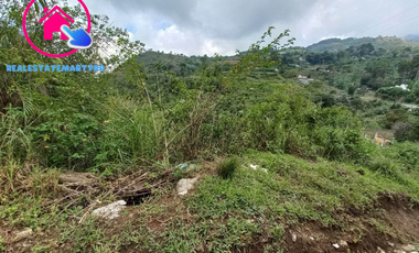 240sqm Residential Lot for Sale in Balacbac, Baguio City