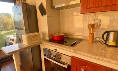 GIRP VENDE_DEPARTEMENTO EN PUCON A 1 CUADRA DEL LAGO