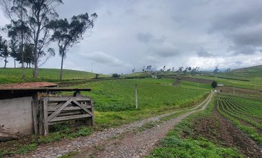 HACIENDA EN PÍLLARO
