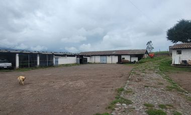 HACIENDA EN PÍLLARO
