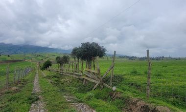 HACIENDA EN PÍLLARO