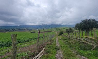 HACIENDA EN PÍLLARO