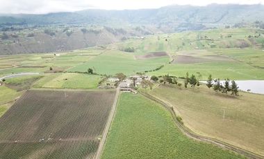 HACIENDA EN PÍLLARO