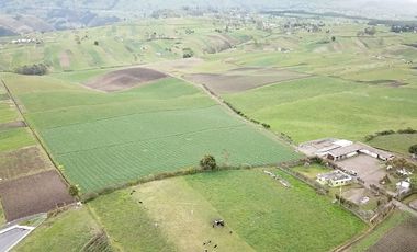 HACIENDA EN PÍLLARO