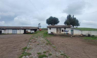 HACIENDA EN PÍLLARO