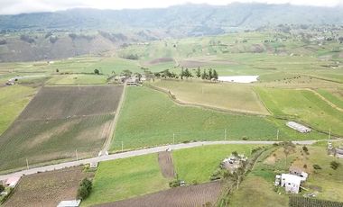 HACIENDA EN PÍLLARO
