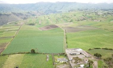 HACIENDA EN PÍLLARO