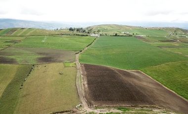 HACIENDA EN PÍLLARO