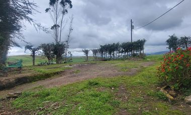 HACIENDA EN PÍLLARO