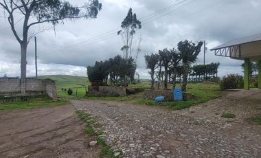 HACIENDA EN PÍLLARO