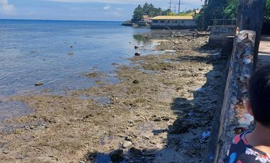Beach Lot for Sale