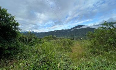 Terreno en venta en Zamora