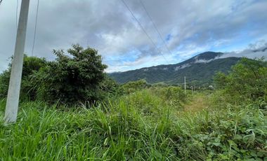 Terreno en venta en Zamora