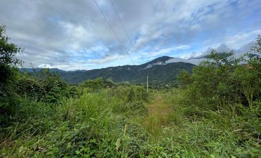 Terreno en venta en Zamora