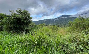 Terreno en venta en Zamora